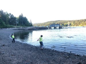 A Family Outing, skipping pebbles on MDI
