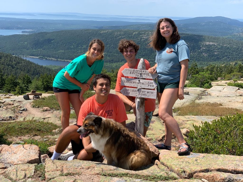 Family hiking with dogs, Sargent Mountain Trail, Acadia National Park, Bar Harbor, Maine, Mount Desert Island, MDI