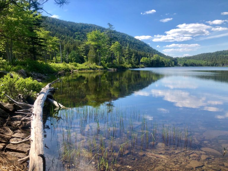 best trails in acadia national park, geddy's blog best family spots, acadia lake in Bar Harbor, Maine.