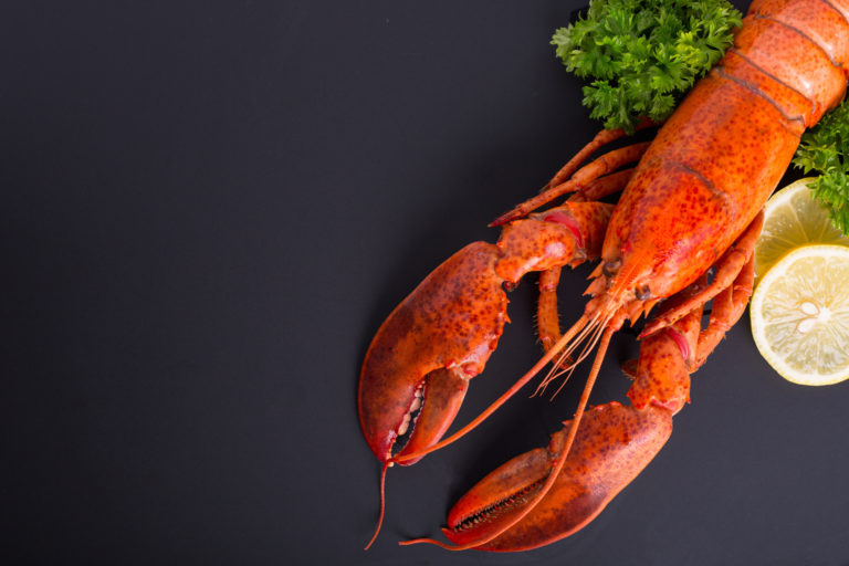 geddys, bar harbor seafood restaurant, best seafood in bar harbor, bar harbor restaurants, best lobster in bar harbor, lobster restaurant.
