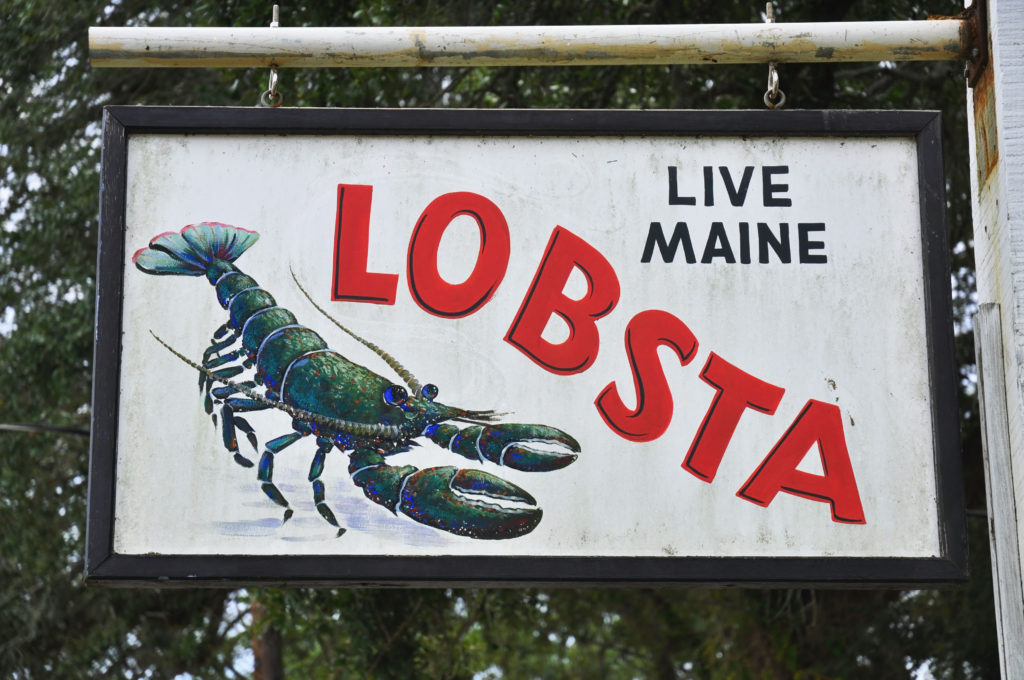 eating lobster in maine, geddy's in bar harbor maine serving live maine lobster, straight from the live lobster, the best lobster in bar harbor