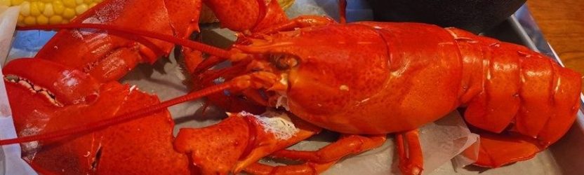 7 Ways to Eat Lobster in Maine | Geddy’s
