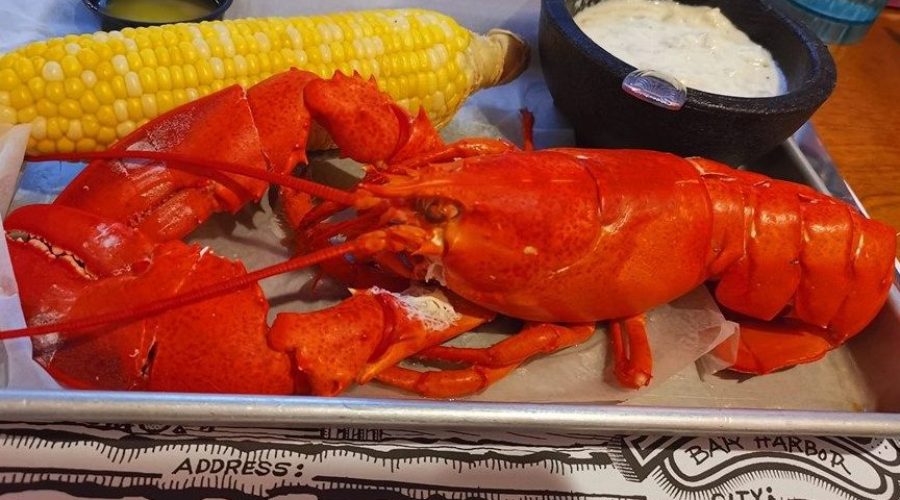 7 Ways to Eat Lobster in Maine | Geddy’s
