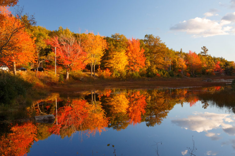 COVID-19 Fall Guide to Visiting Bar Harbor Maine, Geddy's, Geddy's Bar Harbor, Acadia National Park Fall Foliage