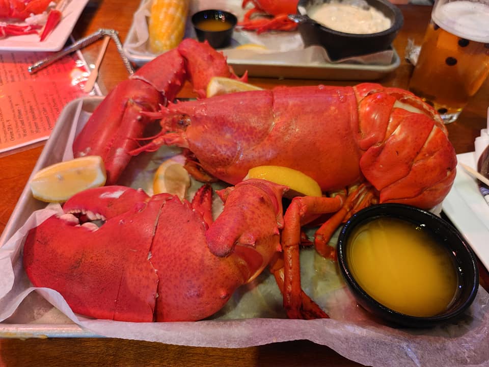 World Famous Geddy's seafood restaurant for the best lobster in bar harbor with our lobster bake & New England clam chowder.