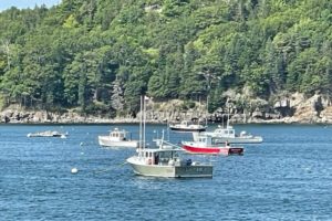 Bar Harbor, Maine: Top Five Things To Do | Geddy’s