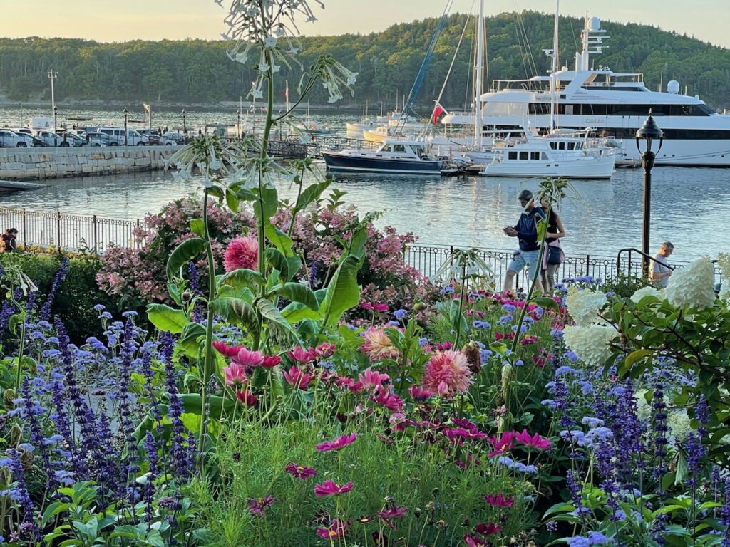 Today, Bar Harbor is once again a vibrant community with well-known celebrities living here and famous yachts in the harbor 