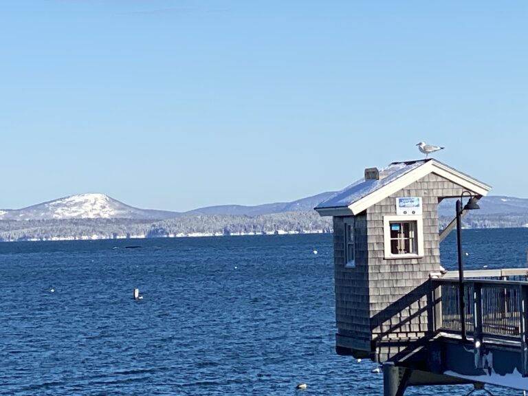 Geddy's - Beautiful Bar Harbor waterfront across from the restaurant