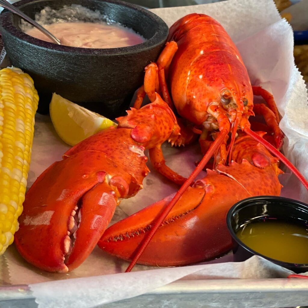 Lobster Bake